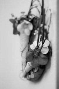 IMG_3867 (2) - Copie